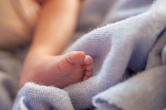 нога недоношенного ребенка младенец рожденный преждевременно стоковое изображение нога недоношенного ребенка младенец рожденный преждевременно стоковое изображение
