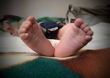 Ноги стоковые фото Ноги стоковые фото