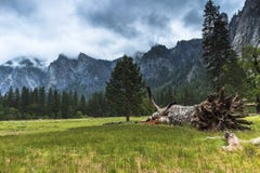долина yosemite Стоковое Изображение долина yosemite Стоковое Изображение
