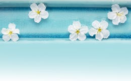 Одичалая вишня цветет в голубом шаре с водой, курортом стоковая фотография rf Одичалая вишня цветет в голубом шаре с водой, курортом стоковая фотография rf