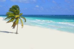 Одичалый пляж на Tulum стоковая фотография rf Одичалый пляж на Tulum стоковая фотография rf