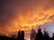 Облака Mammatus под наковальней грозы около Utrecht, Нидерланд стоковые фото Облака Mammatus под наковальней грозы около Utrecht, Нидерланд стоковые фото