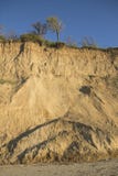 Обрыв почвы глины Sandy вертикальный с корнями завода и малой вегетацией голубое небо Морское побережье за съемкой стоковые изображения Обрыв почвы глины Sandy вертикальный с корнями завода и малой вегетацией голубое небо Морское побережье за съемкой стоковые изображения