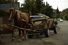 Обуздывают лошадь в поставке стоковое изображение Обуздывают лошадь в поставке стоковое изображение