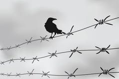 Ограждать колючей проволоки Загородка сделанная из провода с шипами Черно-белая иллюстрация к лагерю консоли холокоста иллюстрация вектора Ограждать колючей проволоки Загородка сделанная из провода с шипами Черно-белая иллюстрация к лагерю консоли холокоста иллюстрация вектора