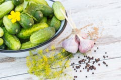 Огурцы в шаре и специях металла для маринуя огурцов в саде на солнечный день Стоковые Фото Огурцы в шаре и специях металла для маринуя огурцов в саде на солнечный день Стоковые Фото