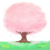 Один вишневый цвет цветеня который очень красив иллюстрация штока Один вишневый цвет цветеня который очень красив иллюстрация штока