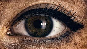 Один человеческий зеленый коричневый женский конец глаза вверх стоковая фотография rf Один человеческий зеленый коричневый женский конец глаза вверх стоковая фотография rf