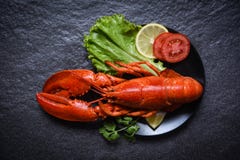 Омар на морепродуктах плиты с овощем и томатом салата салата лимона на темной предпосылке стоковые фотографии rf Омар на морепродуктах плиты с овощем и томатом салата салата лимона на темной предпосылке стоковые фотографии rf