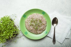 Органическая каша хлопьев и microgreen в плите на белой предпосылке стоковая фотография Органическая каша хлопьев и microgreen в плите на белой предпосылке стоковая фотография