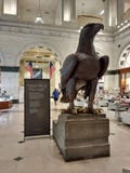 Орел, грандиозный суд, Филадельфия, Пенсильвания, США стоковая фотография Орел, грандиозный суд, Филадельфия, Пенсильвания, США стоковая фотография