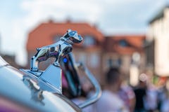 Орнамент Chrome бульдога тележек Mack первоначальный неподдельный отполированный стоковая фотография rf Орнамент Chrome бульдога тележек Mack первоначальный неподдельный отполированный стоковая фотография rf