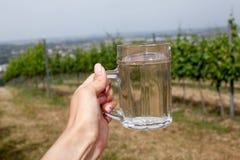 Освежение питья вина и spritzer соды Стекло белого вина в руке женщины на предпосылках виноградников в харчевне Heuriger в восток стоковое фото Освежение питья вина и spritzer соды Стекло белого вина в руке женщины на предпосылках виноградников в харчевне Heuriger в восток стоковое фото