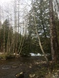 Остров ванкувер, Британская Колумбия, Канада стоковая фотография rf Остров ванкувер, Британская Колумбия, Канада стоковая фотография rf