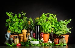 Острословие натюрморта варя ингридиенты, травы и утвари Стоковые Изображения Острословие натюрморта варя ингридиенты, травы и утвари Стоковые Изображения