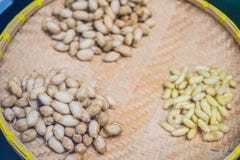 Отдельные этапы куколок шелкопряда Желтые шелковистые куколки этап жизни особенных насекомых проходя преобразование стоковое изображение Отдельные этапы куколок шелкопряда Желтые шелковистые куколки этап жизни особенных насекомых проходя преобразование стоковое изображение