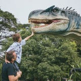 Отец и сын играя в парке dino приключения стоковое изображение rf Отец и сын играя в парке dino приключения стоковое изображение rf