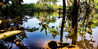 Отражение воды стоковые изображения Отражение воды стоковые изображения