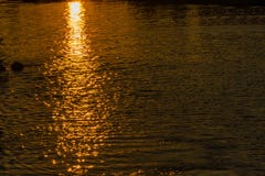 Отражение лучей заходящего солнца на поверхности воды Текстура воды r стоковая фотография rf Отражение лучей заходящего солнца на поверхности воды Текстура воды r стоковая фотография rf