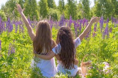 2 очаровательных маленькой девочки с длинными волосами сидят обнимать, руки подняли вверх на поле с цветками Девушки концепция стоковые фотографии rf 2 очаровательных маленькой девочки с длинными волосами сидят обнимать, руки подняли вверх на поле с цветками Девушки концепция стоковые фотографии rf
