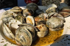 Очень вкусные морепродукты - плита сваренных мидий с травами в отваре стоковое изображение Очень вкусные морепродукты - плита сваренных мидий с травами в отваре стоковое изображение
