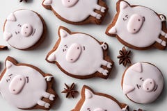 Очень вкусные печенья пряника 2019 Новых Годов стоковое изображение Очень вкусные печенья пряника 2019 Новых Годов стоковое изображение