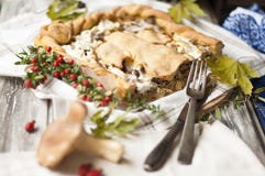 Очень вкусный домодельный пирог с грибами и сыром Хорошие печенья Взгляд сверху стоковое фото Очень вкусный домодельный пирог с грибами и сыром Хорошие печенья Взгляд сверху стоковое фото