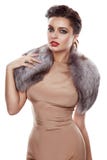 Платье красивых мехов золота ювелирных изделий состава вечера девушки silk стоковое фото Платье красивых мехов золота ювелирных изделий состава вечера девушки silk стоковое фото