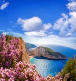 Пляж Navagio с кораблекрушением и цветками против голубого неба на острове Закинфа, Греции стоковое изображение Пляж Navagio с кораблекрушением и цветками против голубого неба на острове Закинфа, Греции стоковое изображение