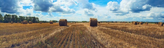 Панорама связок соломы в пустом поле после времени сбора на предпосылке темных драматических облаков в небе overcast стоковые фото Панорама связок соломы в пустом поле после времени сбора на предпосылке темных драматических облаков в небе overcast стоковые фото