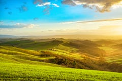 Панорама Тосканы туманная на заходе солнца, Rolling Hills, полях, луге Стоковые Фотографии RF Панорама Тосканы туманная на заходе солнца, Rolling Hills, полях, луге Стоковые Фотографии RF