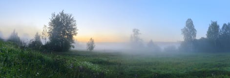 Панорама туманной лужайки с растя деревьями на предпосылке неба восхода солнца стоковые изображения Панорама туманной лужайки с растя деревьями на предпосылке неба восхода солнца стоковые изображения