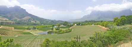 Панорамный взгляд винного маршрута Stellenbosch и долины виноградников, вне Кейптауна, Южная Африка Стоковое фото RF Панорамный взгляд винного маршрута Stellenbosch и долины виноградников, вне Кейптауна, Южная Африка Стоковое фото RF