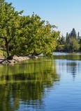 Парк генерала Сан Мартина в Mendoza, Аргентине стоковая фотография Парк генерала Сан Мартина в Mendoza, Аргентине стоковая фотография