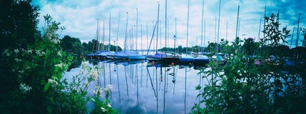 Парусники панорамы на озере Alster в Гамбурге с деревьями стоковые изображения Парусники панорамы на озере Alster в Гамбурге с деревьями стоковые изображения