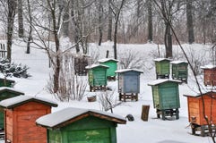 Пасека, крапивницы пчелы других цветов в строках, предусматриванные в снеге стоковые изображения Пасека, крапивницы пчелы других цветов в строках, предусматриванные в снеге стоковые изображения