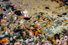 Паэлья морепродуктов в лотке паэлья на продовольственном рынке улицы стоковое изображение Паэлья морепродуктов в лотке паэлья на продовольственном рынке улицы стоковое изображение