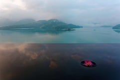 Пейзаж лотоса зацветая на пейзажном бассейне & туманных горах в предпосылке, отраженный на воде озера стоковые изображения rf Пейзаж лотоса зацветая на пейзажном бассейне & туманных горах в предпосылке, отраженный на воде озера стоковые изображения rf