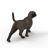 перевод 3d собаки созданный путем использование инструмента blender иллюстрация вектора перевод 3d собаки созданный путем использование инструмента blender иллюстрация вектора