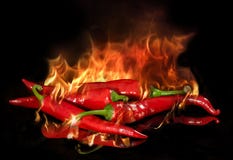 Перец красного chili горящий на черной предпосылке стоковые изображения rf Перец красного chili горящий на черной предпосылке стоковые изображения rf