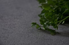 Петрушка на конце-вверх таблицы, предпосылка зеленых цветов стоковые фото Петрушка на конце-вверх таблицы, предпосылка зеленых цветов стоковые фото
