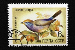 Печать почтового сбора СССР, серия - Воробьинообразная птица, 1981 стоковые изображения Печать почтового сбора СССР, серия - Воробьинообразная птица, 1981 стоковые изображения