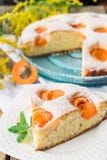 Печенье с абрикосами Сладостный торт с свежими фруктами Кусок пирога с абрикосами на плите стоковое изображение rf Печенье с абрикосами Сладостный торт с свежими фруктами Кусок пирога с абрикосами на плите стоковое изображение rf