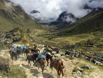 Пеший туризм в Андах вдоль следа Salkantay с группой в составе делает стоковая фотография rf Пеший туризм в Андах вдоль следа Salkantay с группой в составе делает стоковая фотография rf