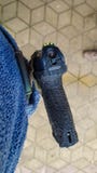 пистолет 9mm в кобуре стоковое изображение rf пистолет 9mm в кобуре стоковое изображение rf
