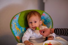 Питаясь младенец с овощами - милый младенец отказывает съесть брокколи стоковое фото rf Питаясь младенец с овощами - милый младенец отказывает съесть брокколи стоковое фото rf