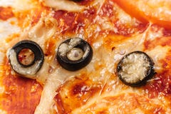Пицца макроса с томатами, сыром и оливками стоковые изображения Пицца макроса с томатами, сыром и оливками стоковые изображения