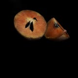 Плод Sapodilla изолированный на черной предпосылке стоковое изображение rf Плод Sapodilla изолированный на черной предпосылке стоковое изображение rf