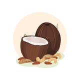 Плоская иллюстрация вектора всех и сломленных кокоса, анакардии и арахисов Органические и здоровые продукты Естественный и иллюстрация вектора Плоская иллюстрация вектора всех и сломленных кокоса, анакардии и арахисов Органические и здоровые продукты Естественный и иллюстрация вектора
