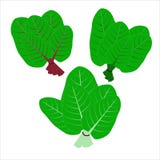 Плоские значки вектора Густолиственный зеленый овощ Органическая и healty еда бесплатная иллюстрация Плоские значки вектора Густолиственный зеленый овощ Органическая и healty еда бесплатная иллюстрация